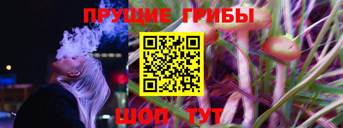 Псилоцибиновые грибы мицелий  где купить наркоту  Галлюциногенные грибы Psilocybe  Усть-Илимск  Вход с VPN 